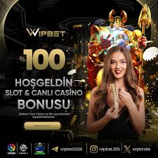 wipbet para yatırma